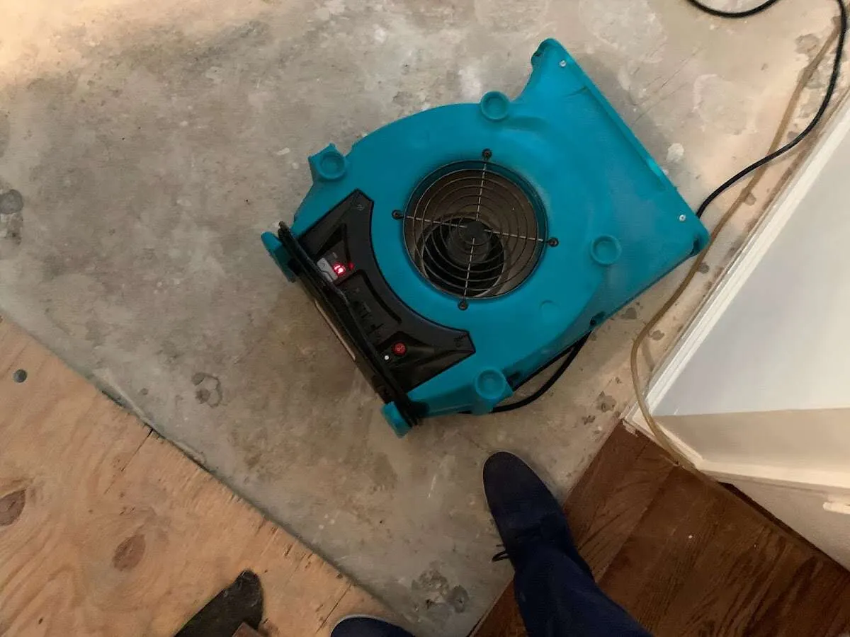 Air mover drying subfloor during Leak Detection & Repair in Murrells Inlet